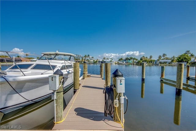 dock area with a water view