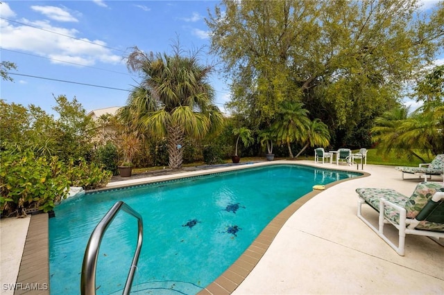 pool with a patio area