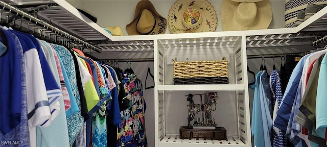 view of spacious closet