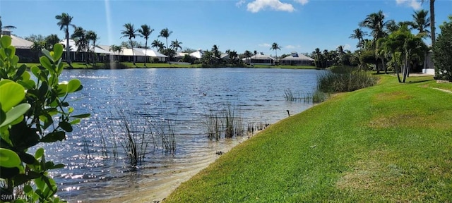 property view of water