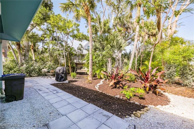 view of yard with a patio