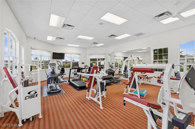 gym with a paneled ceiling, visible vents, and a ceiling fan