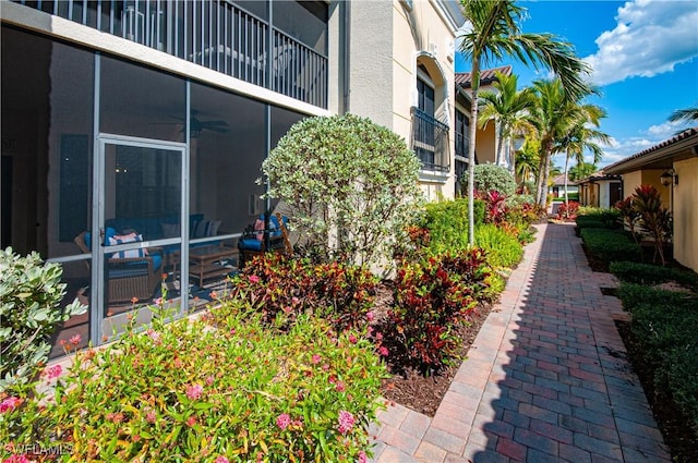 view of home's exterior featuring stucco siding