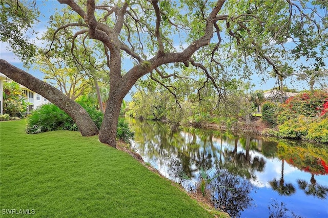 view of water feature