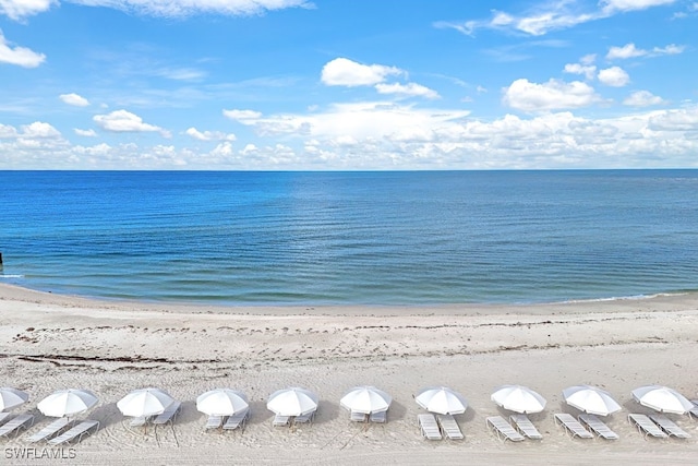 view of water feature with a beach view