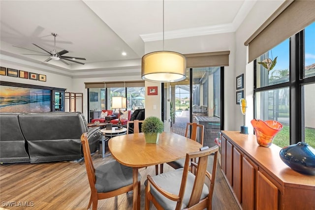 dining room featuring ceiling fan, ornamental molding, wood finished floors, and recessed lighting