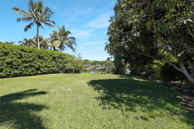 view of yard with a water view