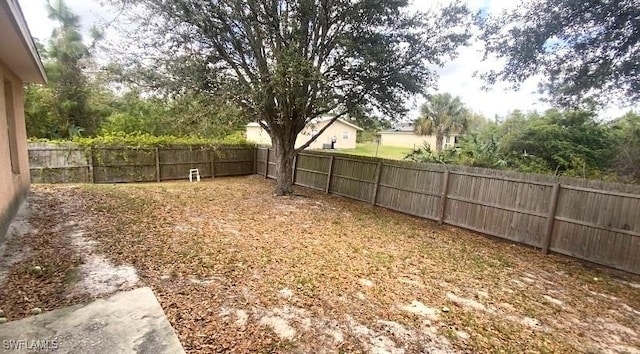 view of yard with a fenced backyard