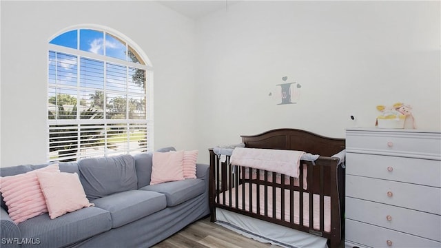 bedroom featuring multiple windows and wood finished floors