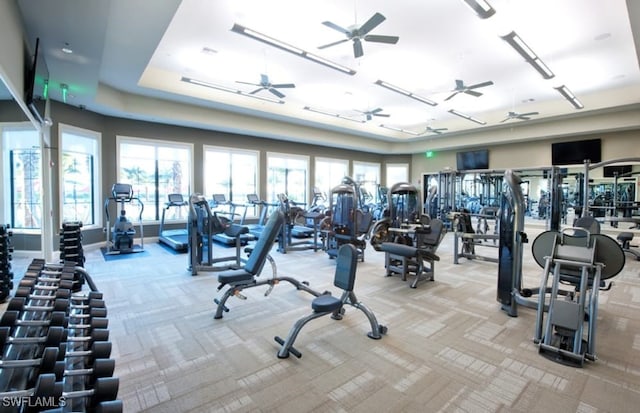 exercise room featuring carpet flooring and ceiling fan