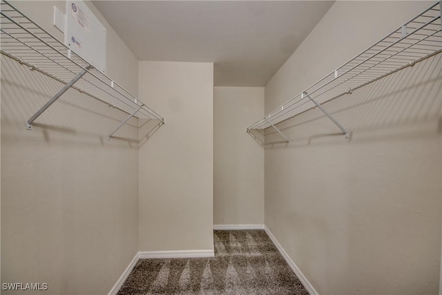 spacious closet with carpet floors