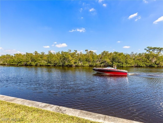 view of water feature with a boat dock and a view of trees