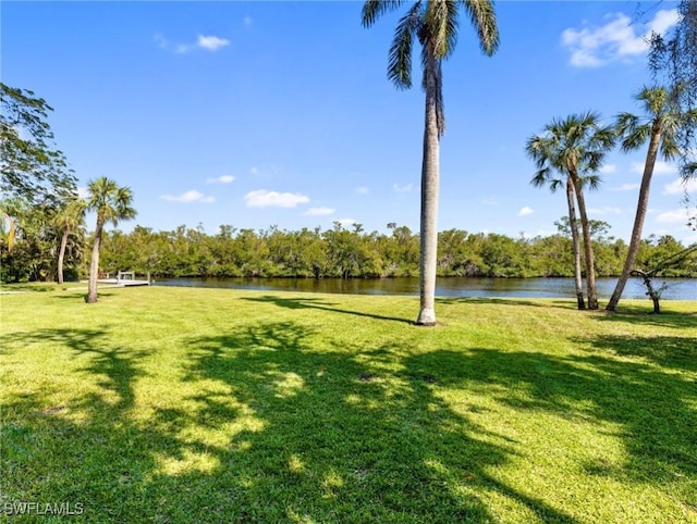 view of property's community featuring a yard and a water view