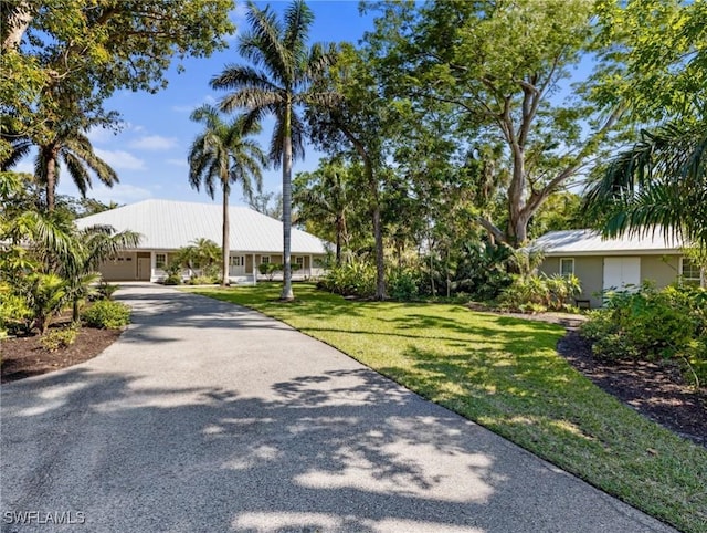 view of front facade featuring driveway, metal roof, and a front yard