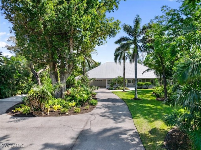 view of front of property with metal roof and a front yard