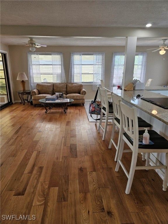 living room featuring a healthy amount of sunlight, wood-type flooring, and a textured ceiling