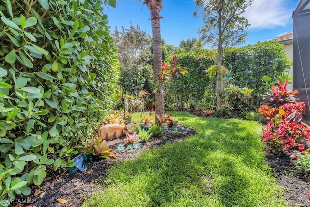 28589 Wharton Dr, Bonita Springs, FL 34135 - view of yard