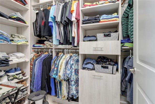 28589 Wharton Dr, Bonita Springs, FL 34135 - view of spacious closet
