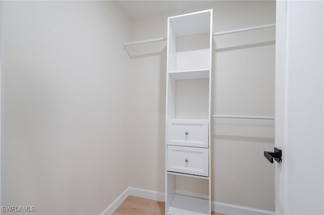 spacious closet with light wood-type flooring