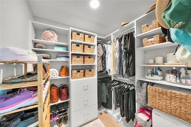 spacious closet featuring wood finished floors