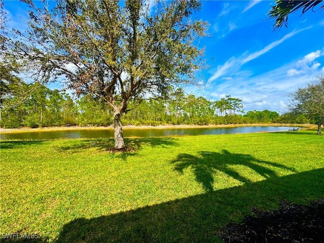 view of yard with a water view