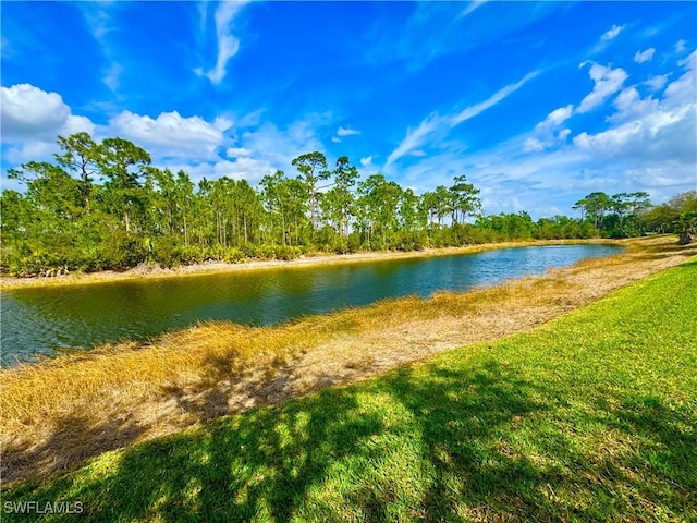 property view of water