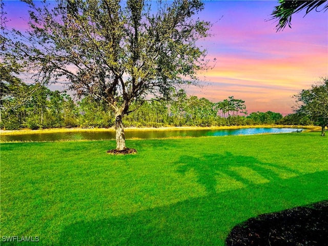 view of yard with a water view