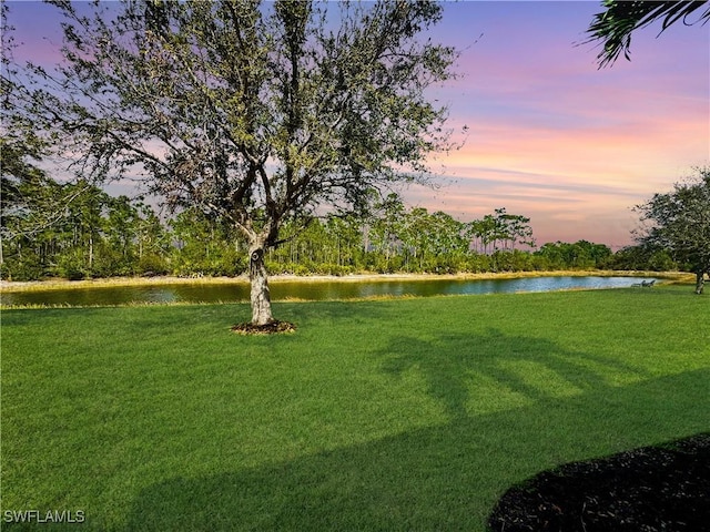 view of yard with a water view