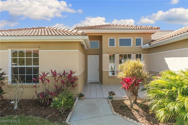 doorway to property featuring stucco siding