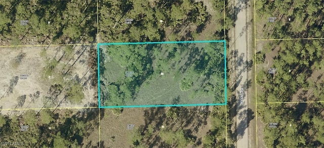 2219 Grant Ave, Alva FL, 33920 land for sale