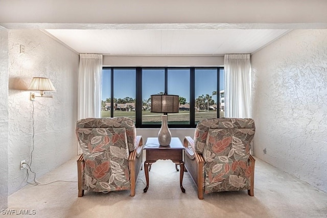 sitting room with a textured wall