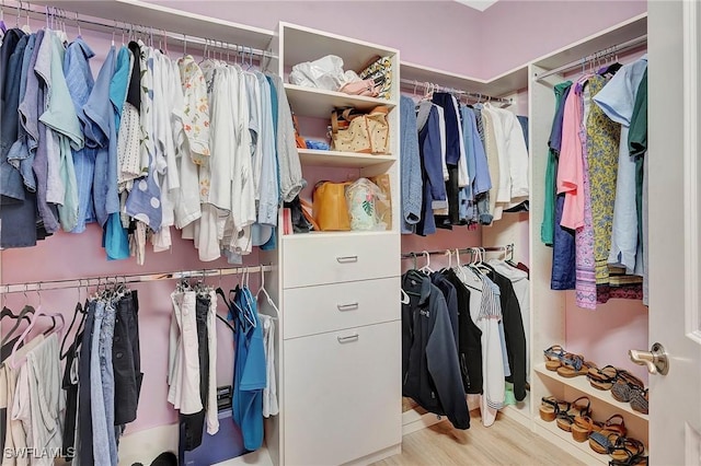 spacious closet featuring wood finished floors