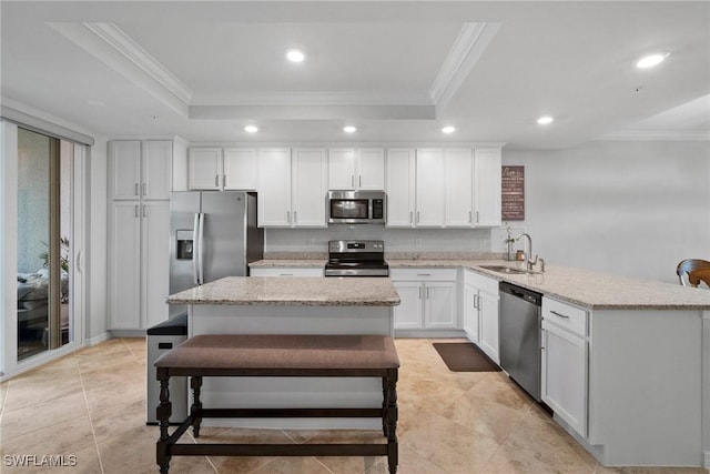 kitchen featuring a sink, appliances with stainless steel finishes, a raised ceiling, and crown molding