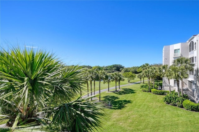 view of home's community with a yard