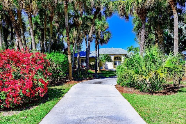 view of property's community with driveway and a lawn