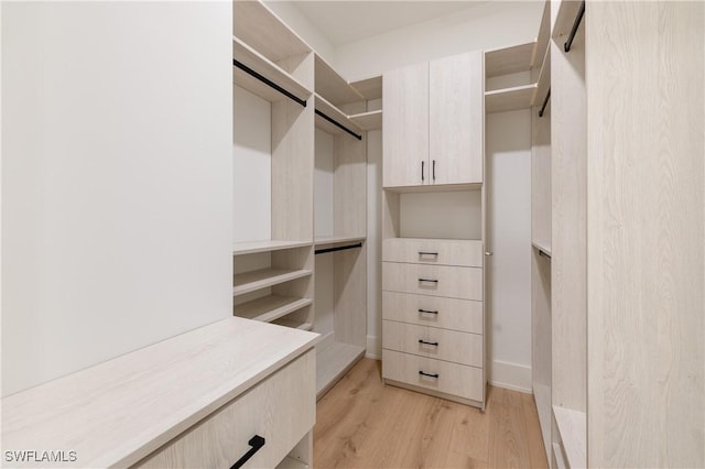 spacious closet featuring light wood-style flooring