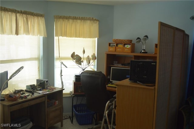 view of carpeted office space