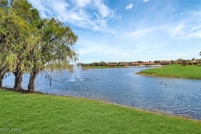 view of water feature