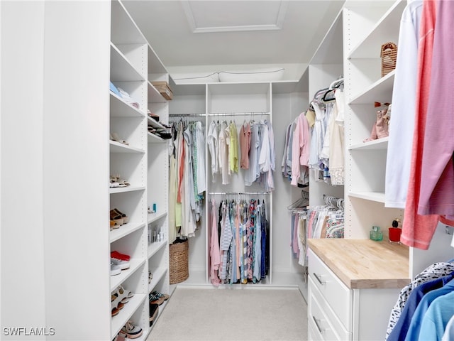 walk in closet featuring carpet and attic access