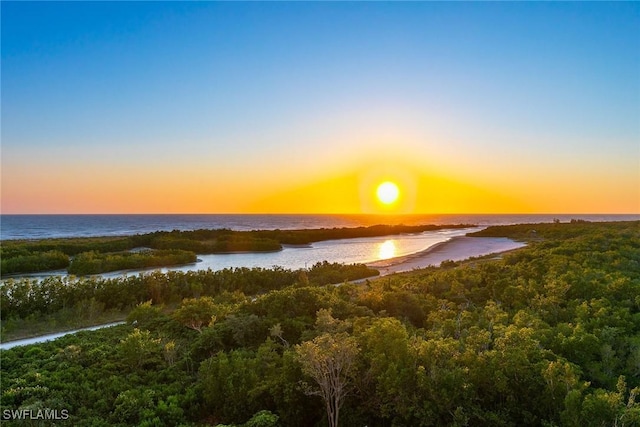 property view of water