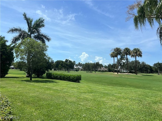 view of community with a lawn