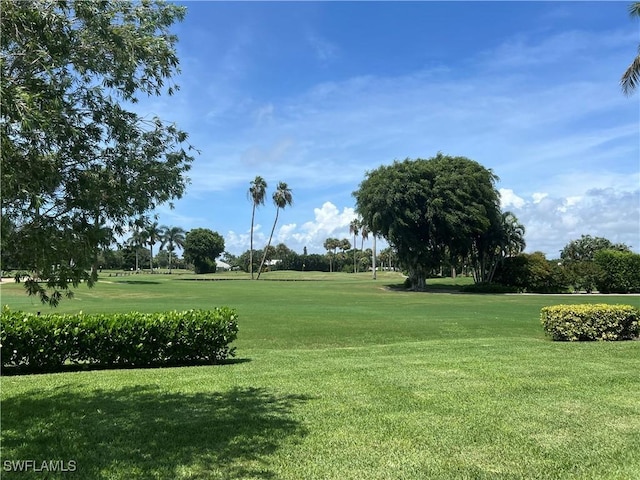 view of community with a lawn