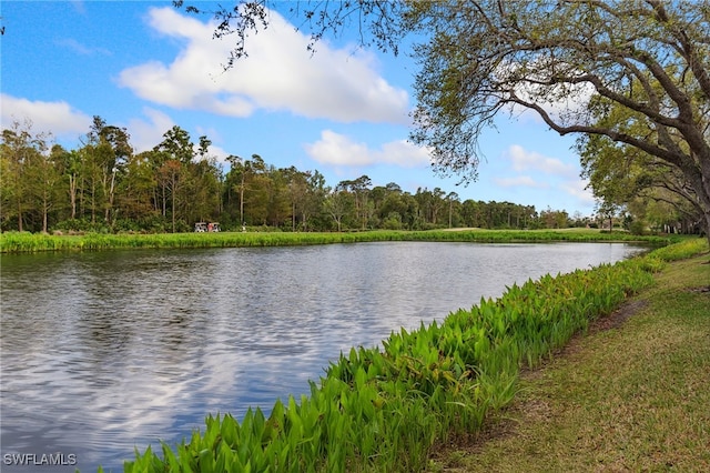 property view of water with a view of trees