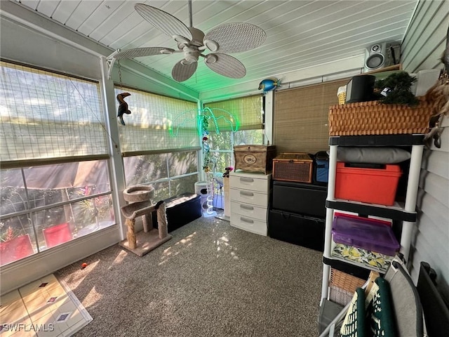 storage room featuring ceiling fan