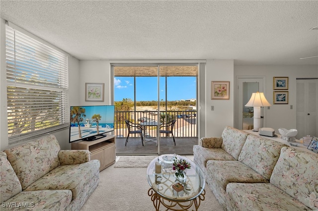 carpeted living room with a healthy amount of sunlight and a textured ceiling