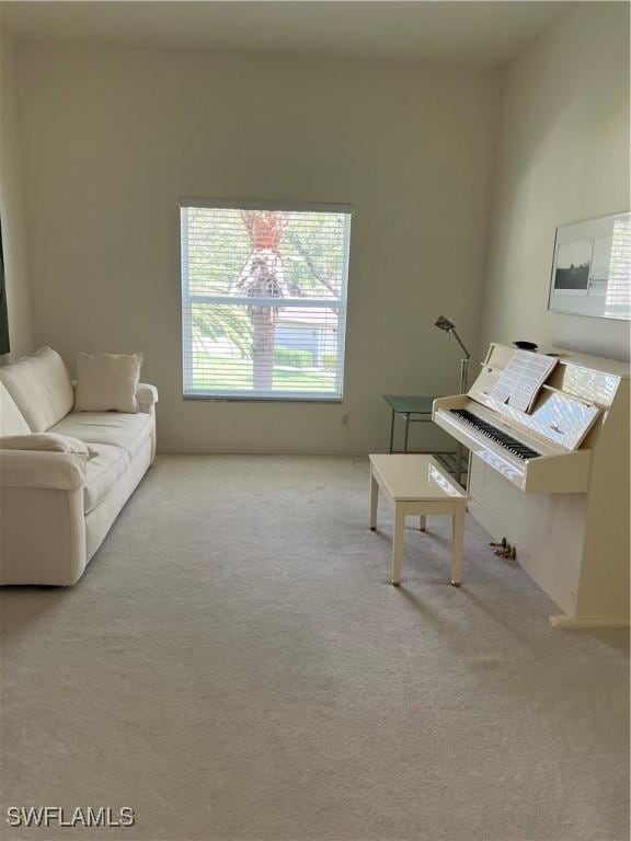 living area with carpet floors