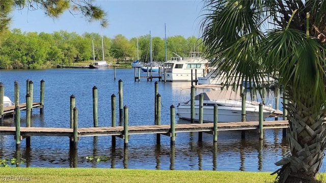 dock area featuring a water view