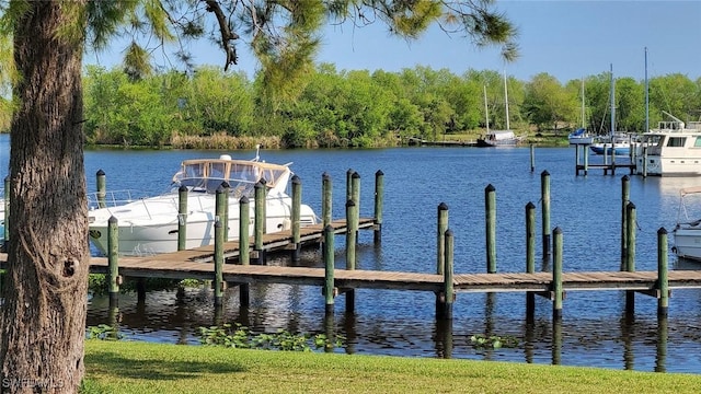 view of dock featuring a water view