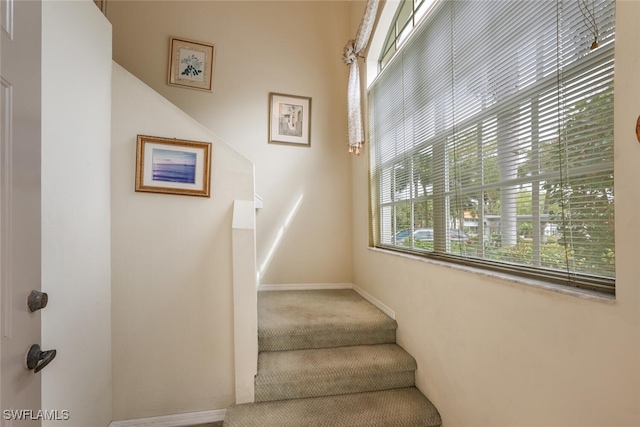 stairs featuring carpet and baseboards