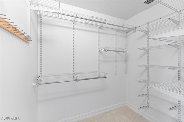 spacious closet with visible vents